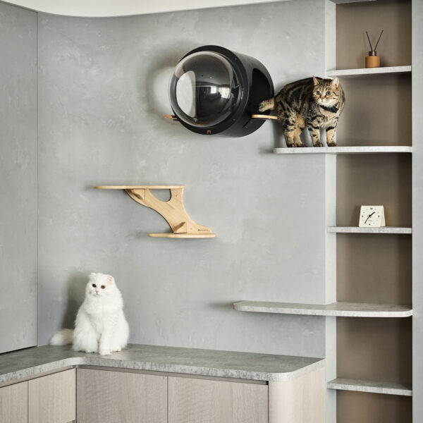 thiết kế phòng khách chung cư