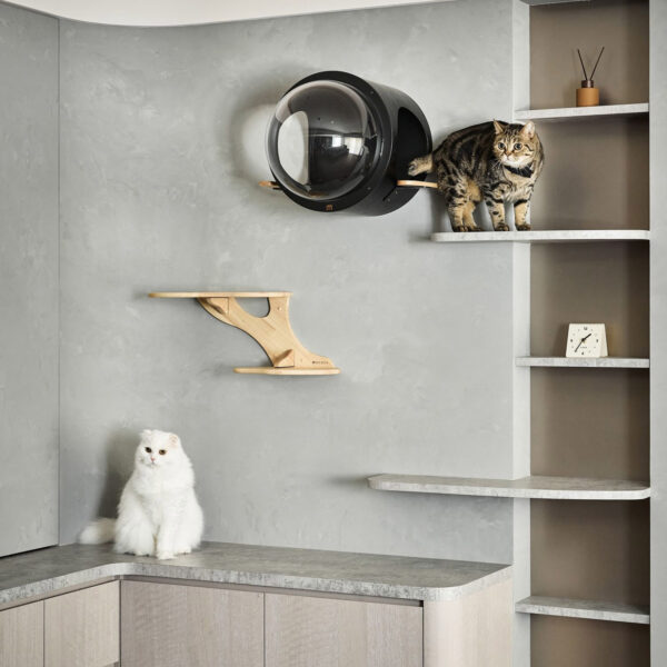 Thiết Kế Nội Thất Căn Hộ Chung Cư 9